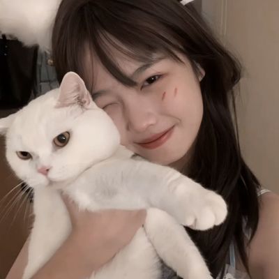 无尽守卫破解版下载