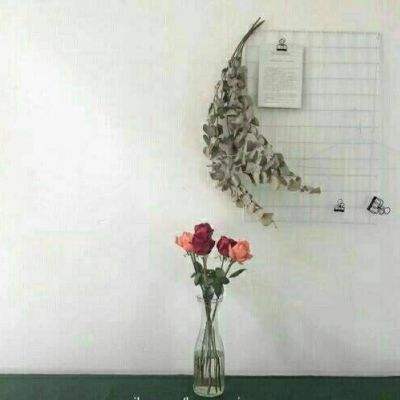 三界萌仙手游官方下载